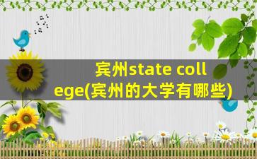 宾州state college(宾州的大学有哪些)